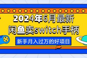 （10831期）2024年6月全新淘宝闲鱼switch蓝牙手柄，初学者月薪过万的第一个创业好项目