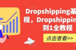 Dropshipping基础课，Dropshipping从0到1全实例教程